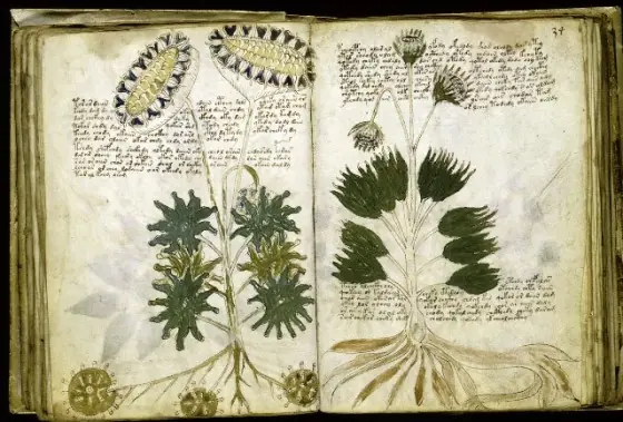 El libro más misterioso