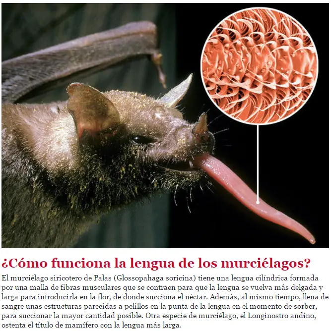 datos y curiosidades
