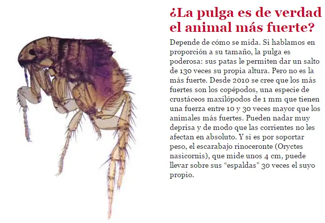 biologia