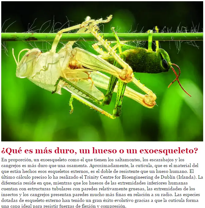 datos y curiosidades