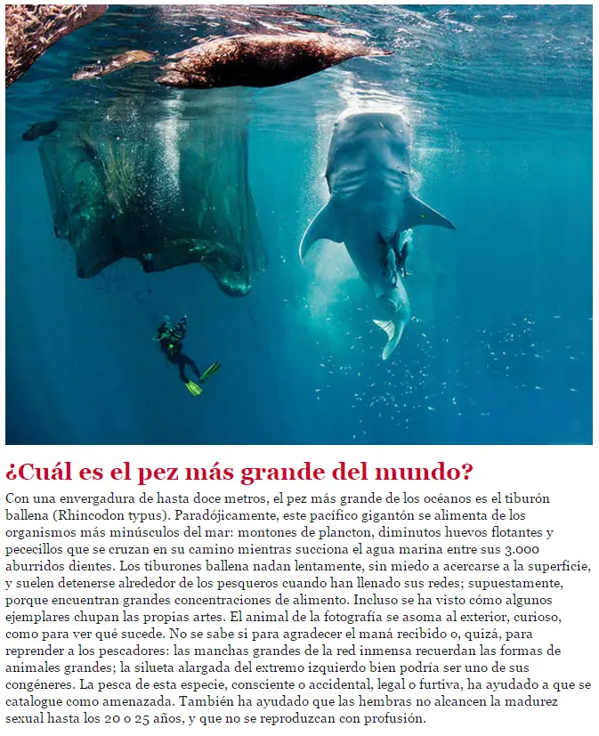 biologia