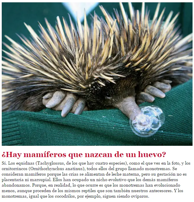 datos y curiosidades