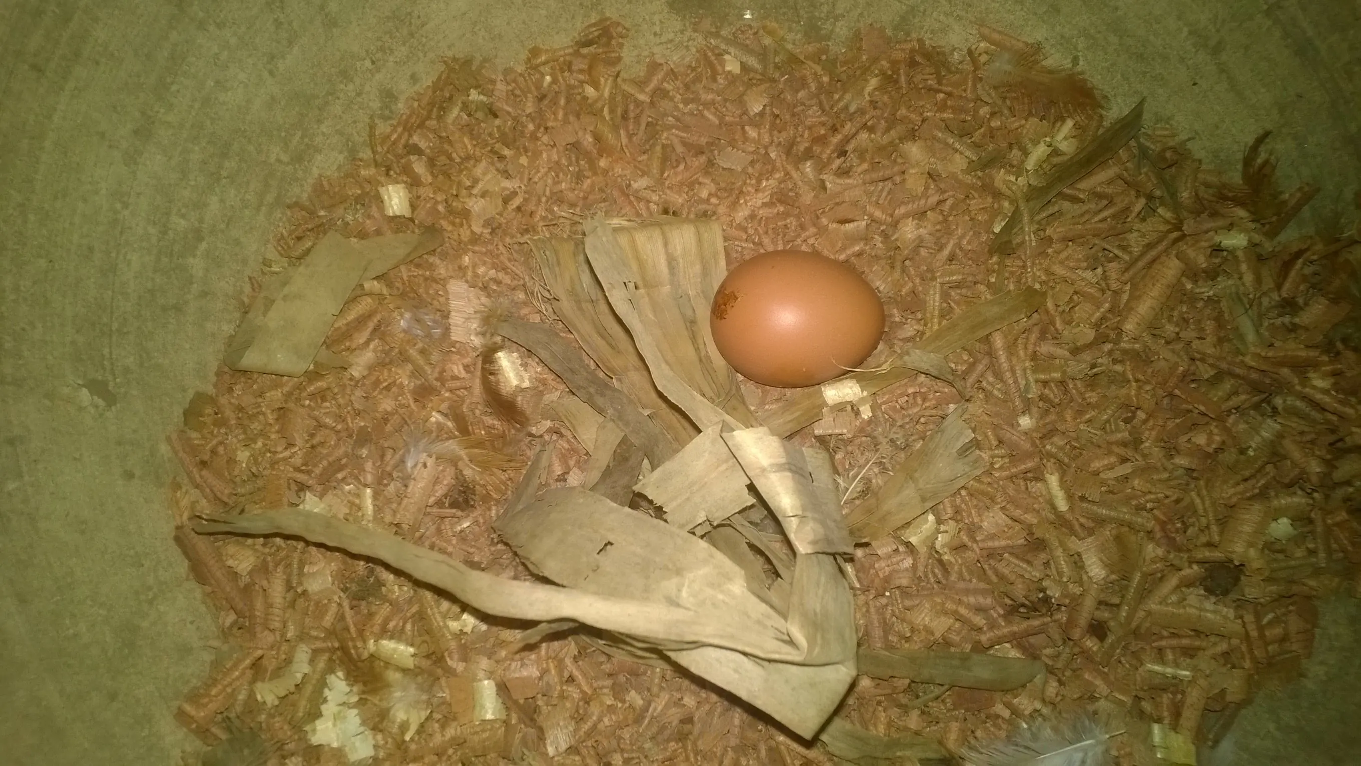 venezuela