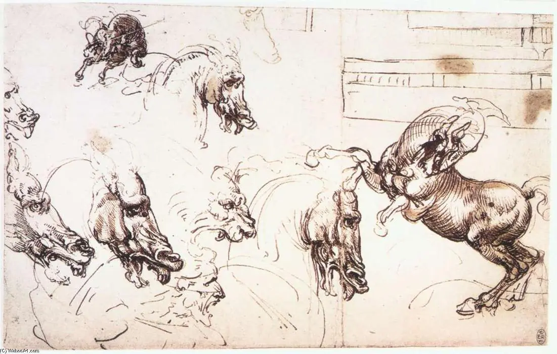 leonardo