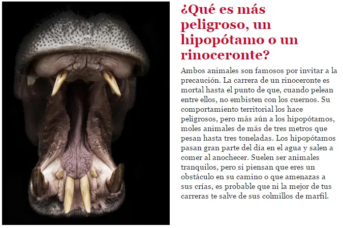 ¿La pulga es de verdad el animal más fuerte?
