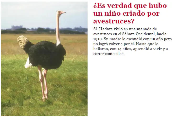 imagenes
