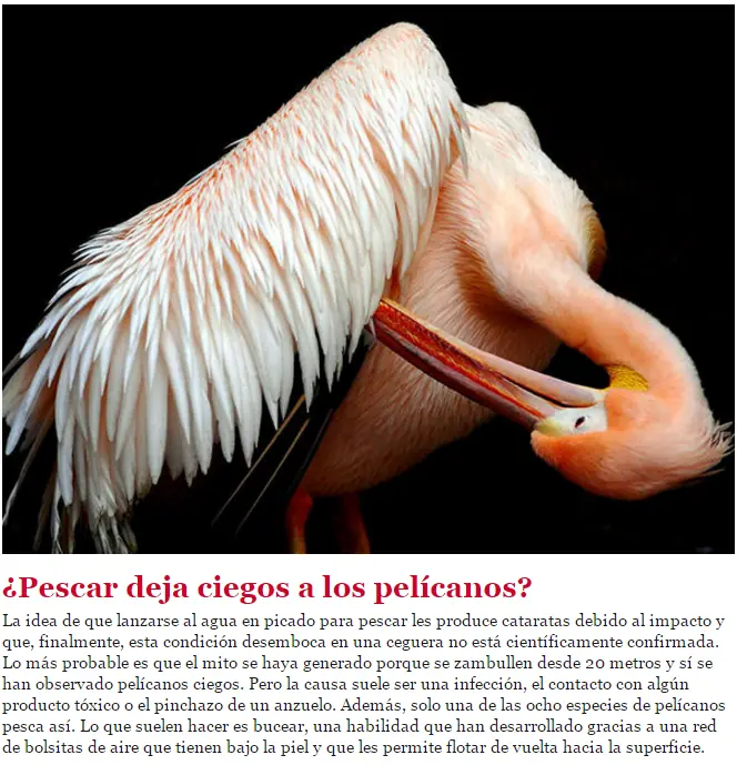 biologia