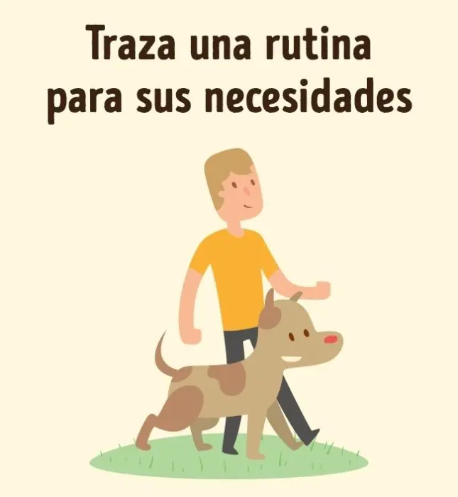 Trucos