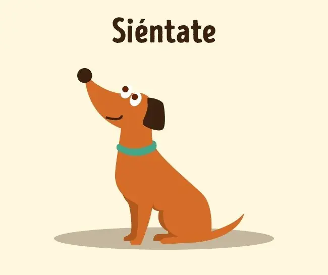 entrenador