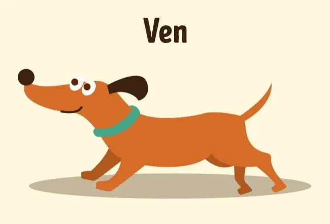 perro