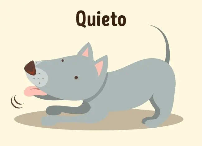 6 Trucos para entrenar a tu perro