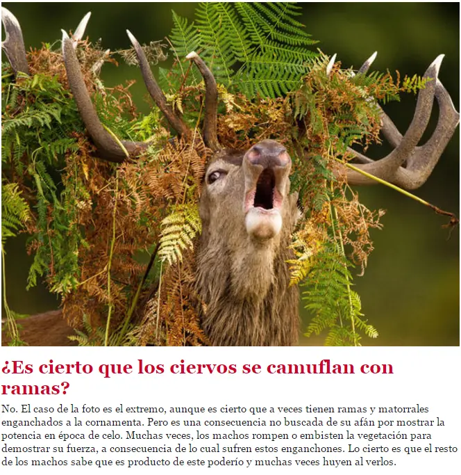 datos y curiosidades