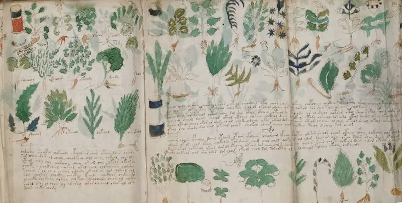 Decodifique el manuscrito Voynich