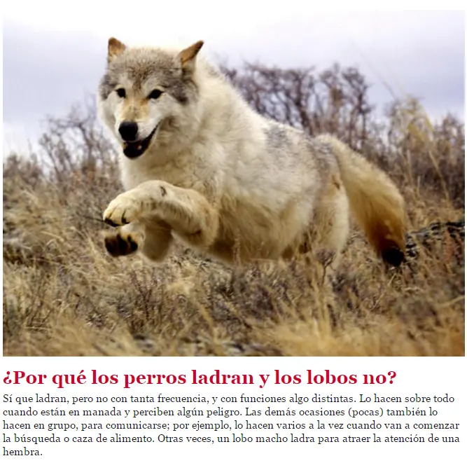 datos y curiosidades