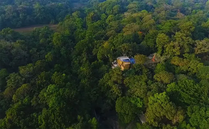 Pareja pasó 26 años reforestando un bosque que compraron