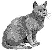 Reviviendo una 486 con Grey Cat Linux