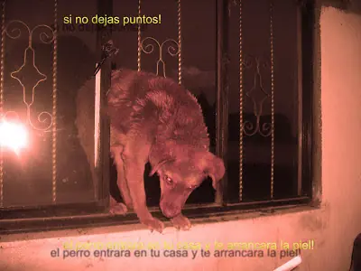 medio