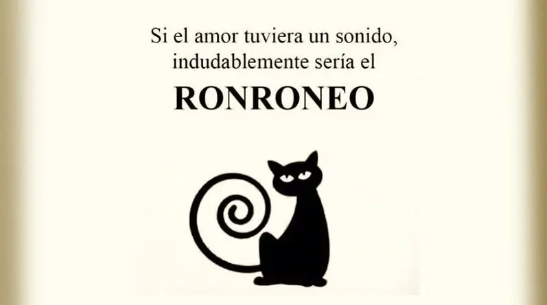 por que