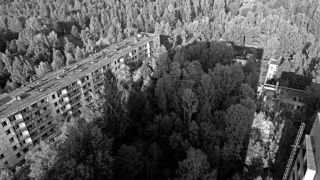 nuclera
