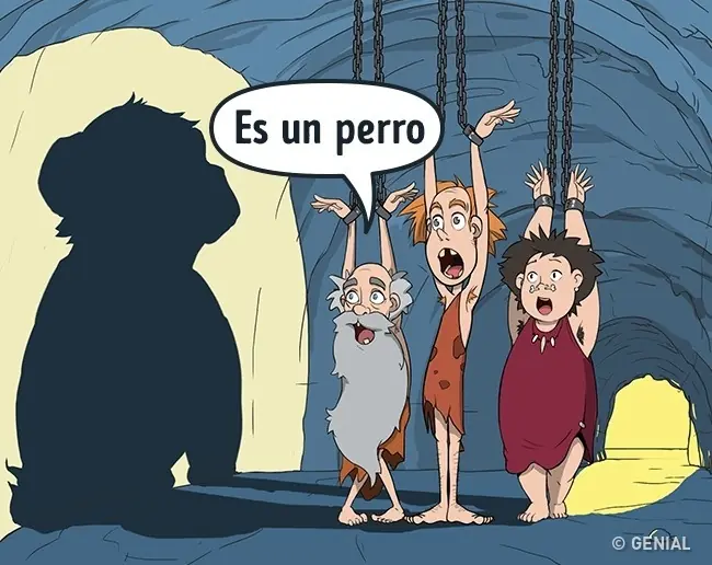 vidas