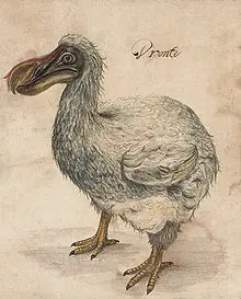 animales extintos