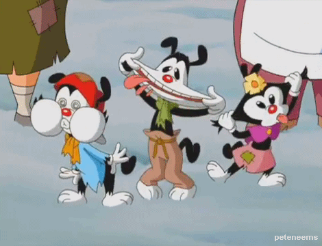 animaniacs animaniacs