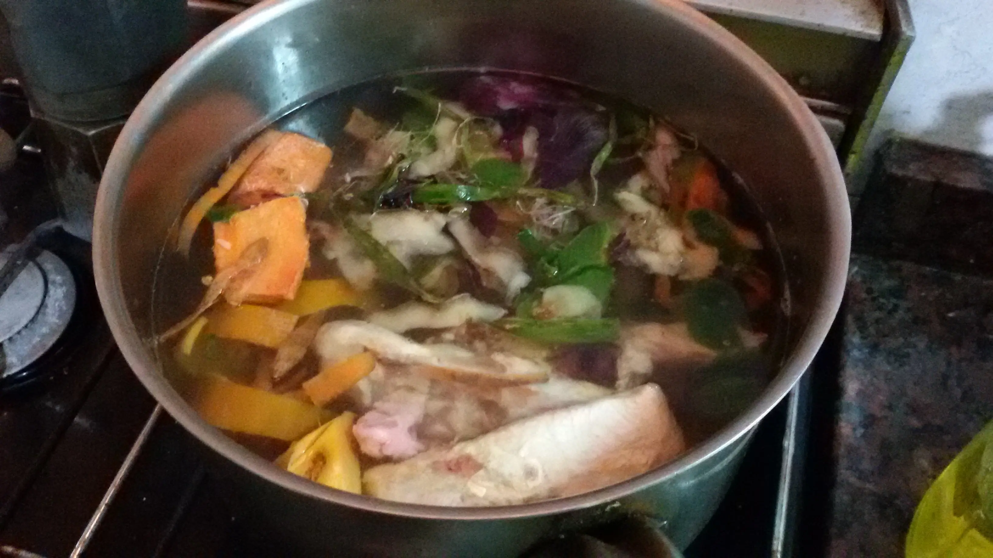 Te enseño a hacer la comida de tu perro con $10 para 7 dias