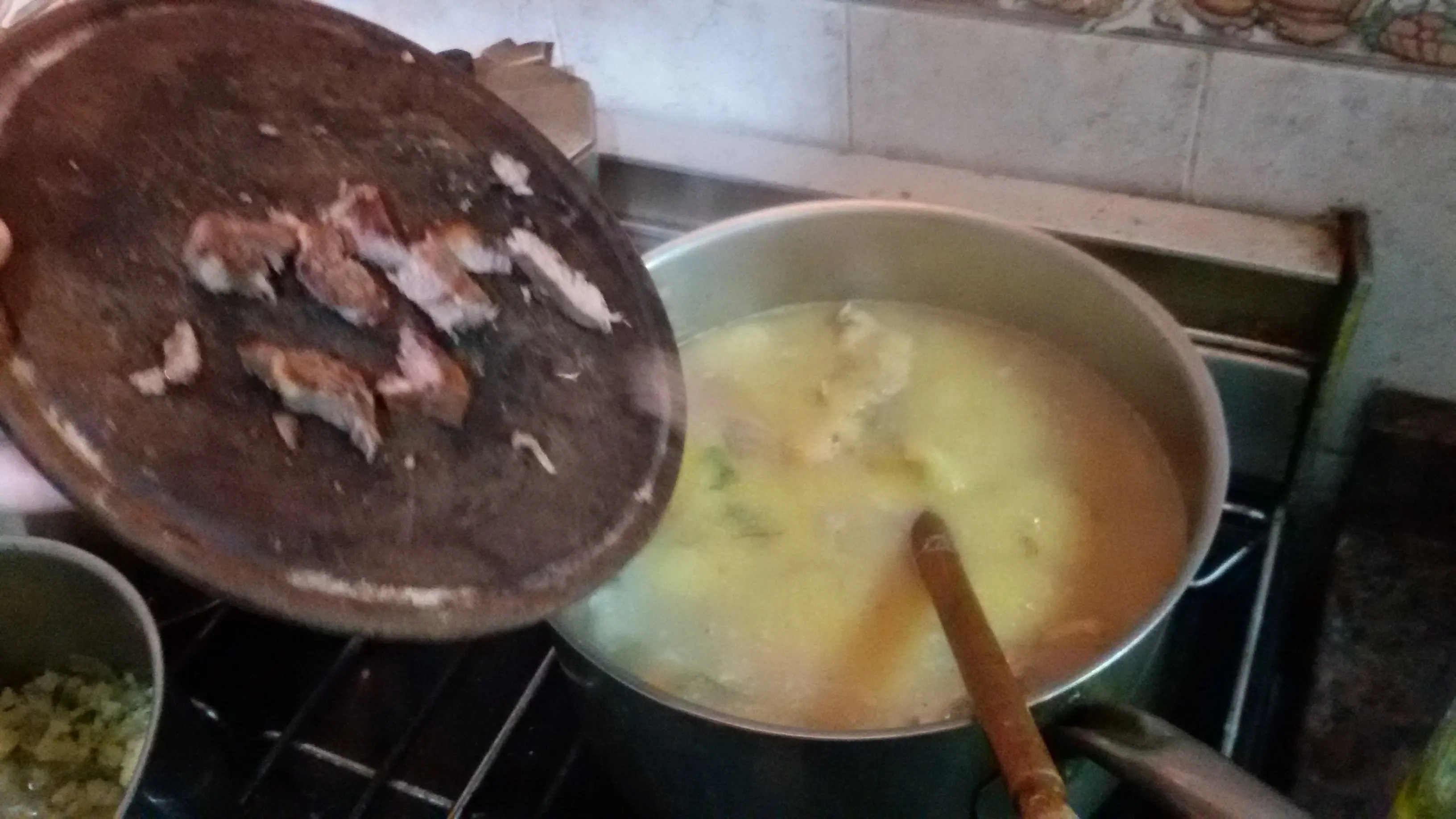 comidas para perros comidas para perros