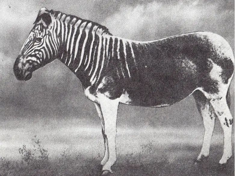 animales extintos