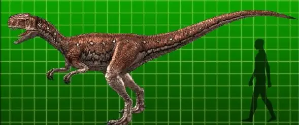 extinción