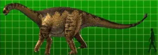 evolución
