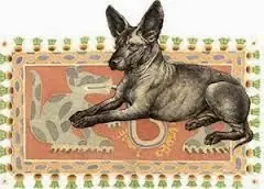 perros mexicanos