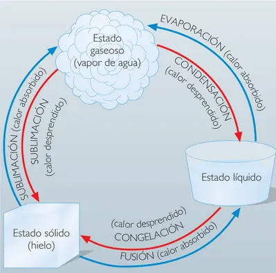 agua contaminada