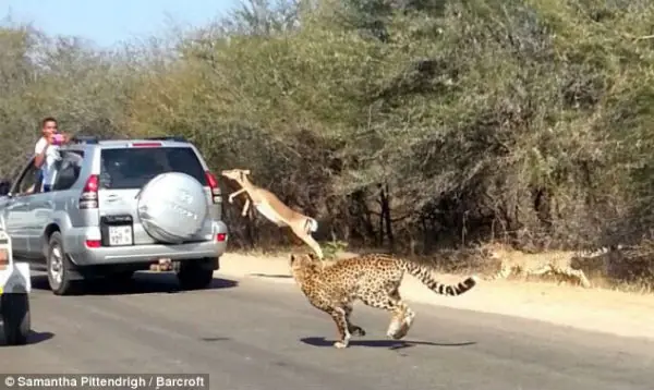 Las noticias e imagenes mas insolitas,Parte 1!