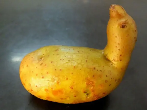 Las noticias e imagenes mas insolitas,Parte 1!