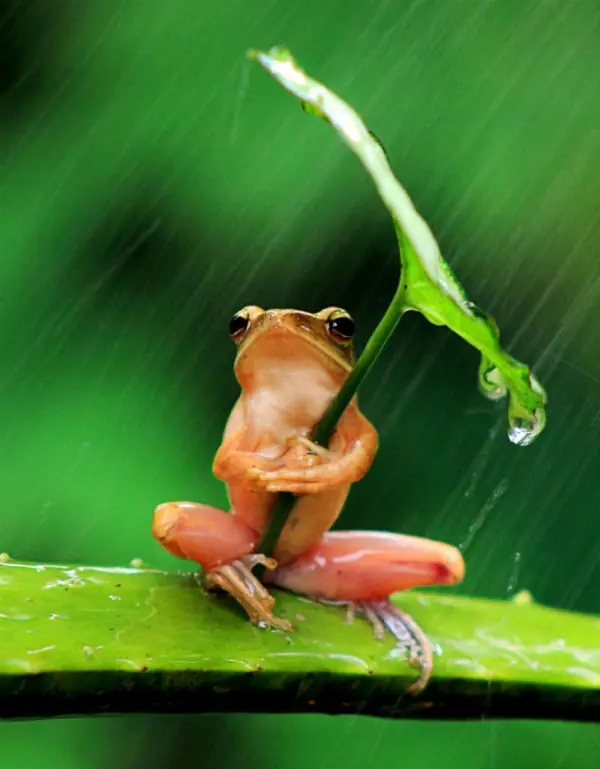 Las noticias e imagenes mas insolitas,Parte 1!
