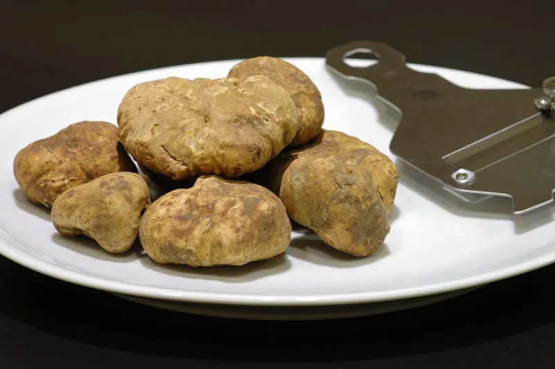 Las 10 comidas mas caras del mundo