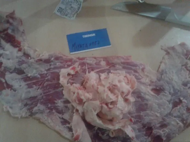 Matambre tiernizado en leche, a la Pizza [Certificada]