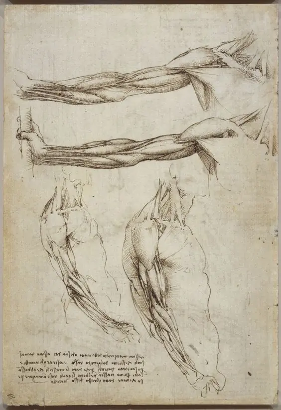 arte arte