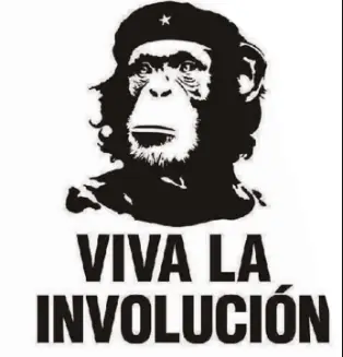 Corrupcion Corrupcion