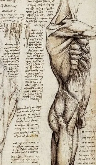 dibujos dibujos
