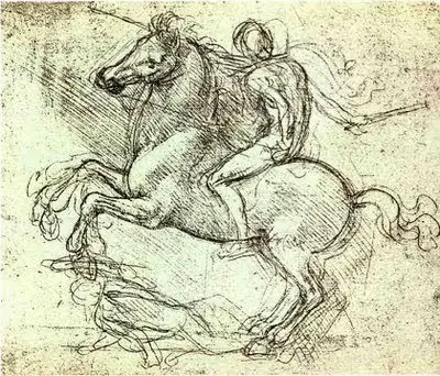 anatomia anatomia