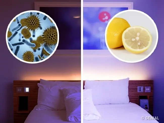 cama