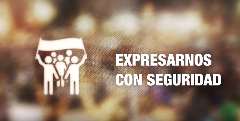 organizacion y lucha