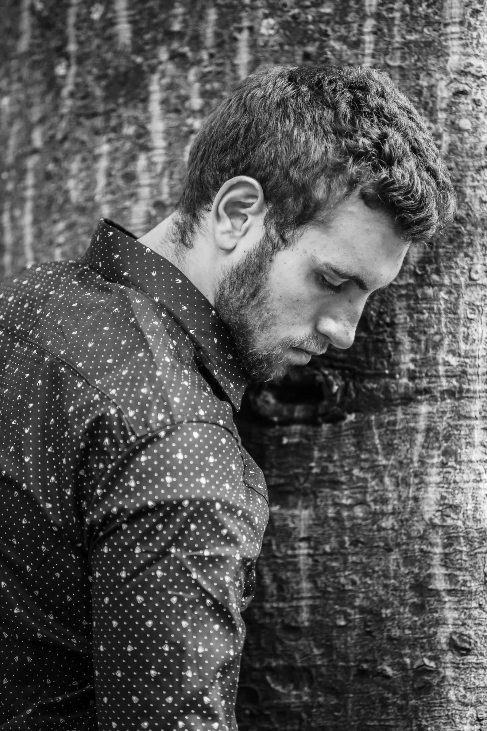 agustin lasso modelo