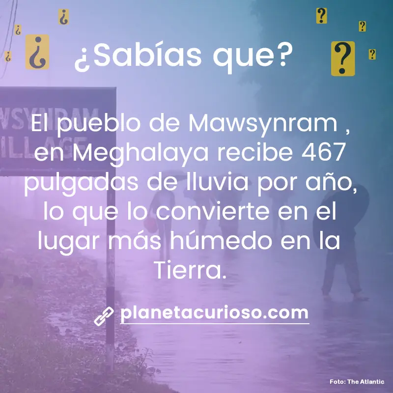 tecostara