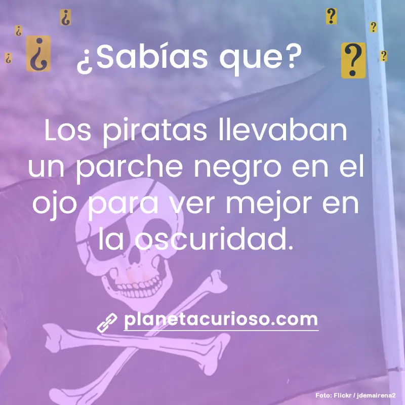 cuiriosos