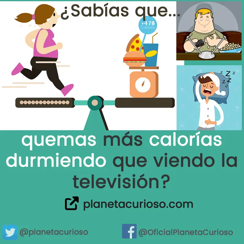 9 Datos curiosos increíbles que te costará creer