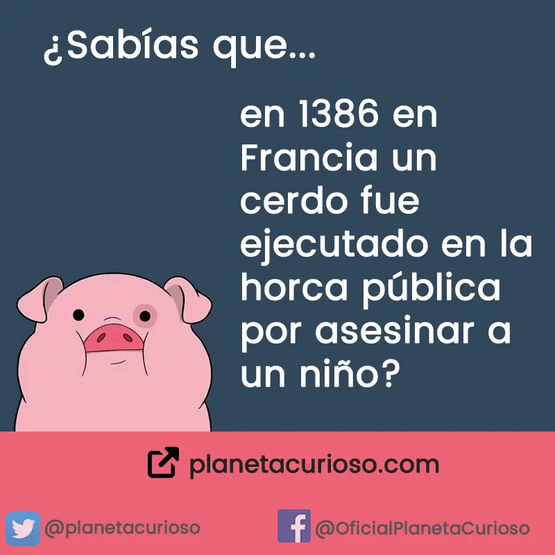9 Datos curiosos increíbles que te costará creer