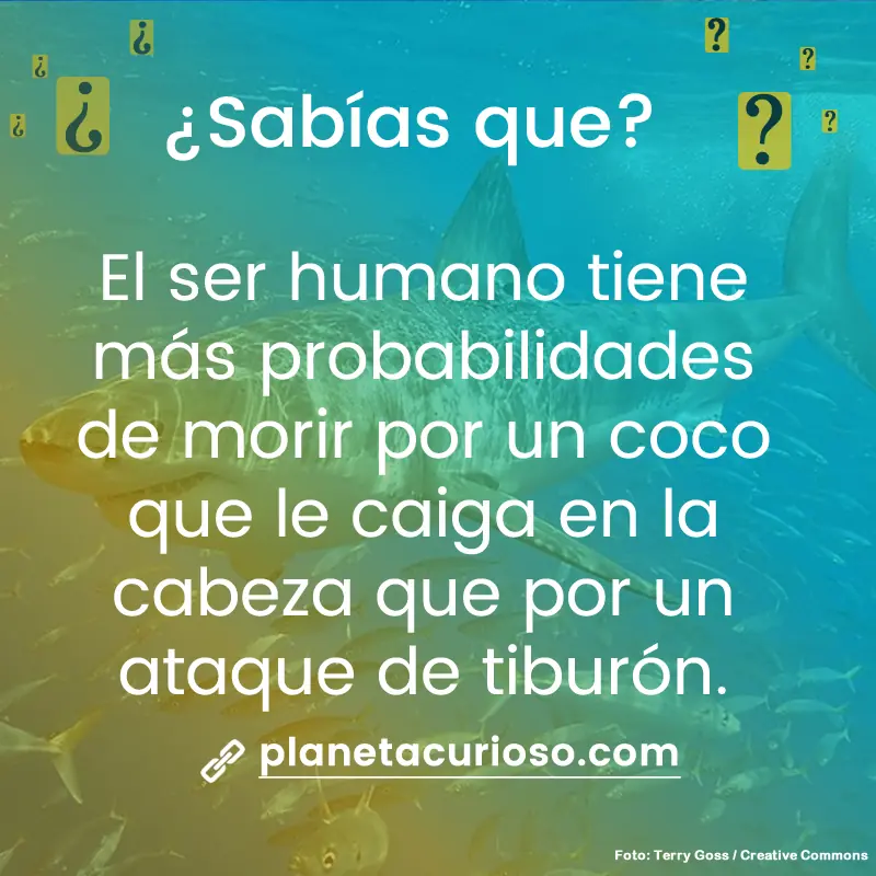 creer